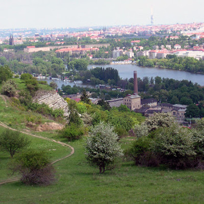 Природная тропа в долине Далейского потока